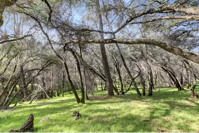 20468 Chaparral Circle, Penn Valley, CA 95946 - Photo 39