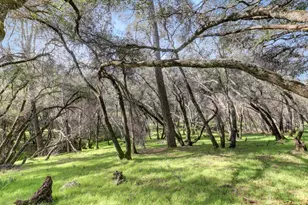 20468 Chaparral Cir, Penn Valley, CA 95946 - Photo 39