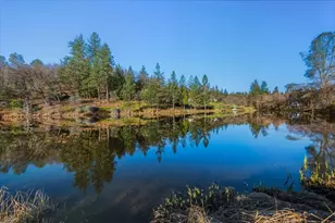 14771 Mt Olive Rd, Grass Valley, CA 95945 - Photo 85