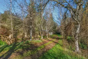 14771 Mt Olive Rd, Grass Valley, CA 95945 - Photo 89