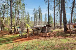 14872 Vavassuer, Brownsville, CA 95919 - Photo 81