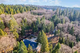 12790 Madrone Forest Dr, Nevada City, CA 95959 - Photo 45
