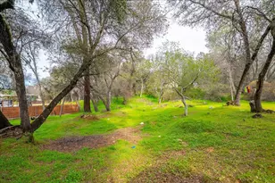 3695 Missouri Flat Rd, Placerville, CA 95667 - Photo 47