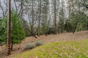 20070 Tellurium Dr, Pine Grove, CA 95665 - Photo 9