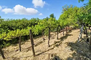 5132 Thalia Dr, El Dorado Hills, CA 95762 - Photo 67