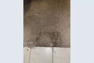 774 Sugar Pine Drive, Lathrop, CA 95330 - Photo 17