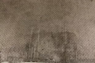 774 Sugar Pine Dr, Lathrop, CA 95330 - Photo 17