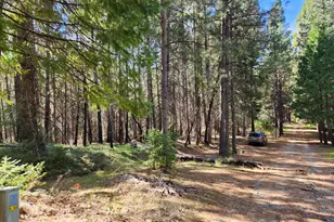 5303 Old Mine Rd, Grizzly Flats, CA 95636 - Photo 1