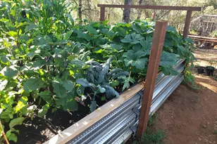 1700 Shadydale Ln, Placerville, CA 95667 - Photo 51