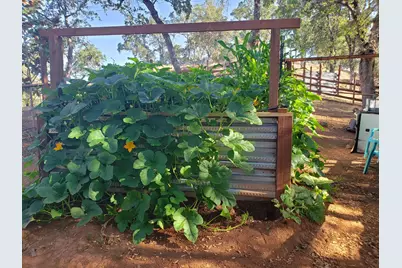 1700 Shadydale Lane, Placerville, CA 95667 - Photo 55