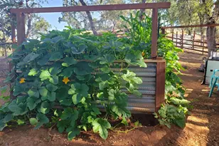 1700 Shadydale Ln, Placerville, CA 95667 - Photo 55