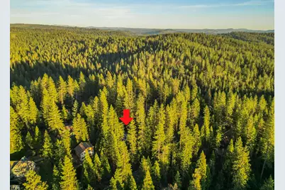 1883 Kit Carson Circle, Arnold, CA 95223 - Photo 47