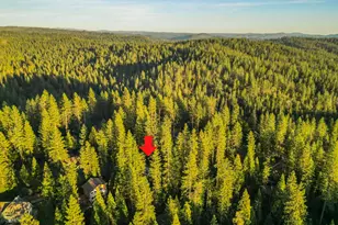 1883 Kit Carson Cir, Arnold, CA 95223 - Photo 47