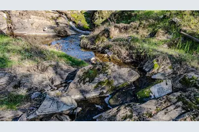 418 Corral Loop, Angels Camp, CA 95222 - Photo 31