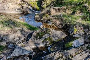 418 Corral Loop, Angels Camp, CA 95222 - Photo 31