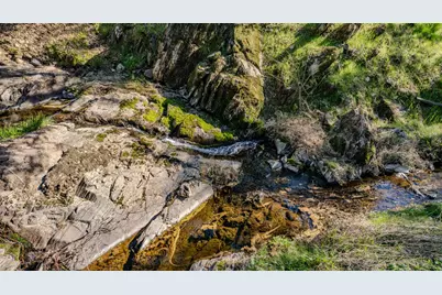 418 Corral Loop, Angels Camp, CA 95222 - Photo 33