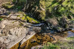 418 Corral Loop, Angels Camp, CA 95222 - Photo 33