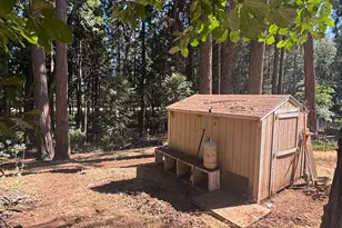 6200 Spruce Ave, Pollock Pines, CA 95726 - Photo 9