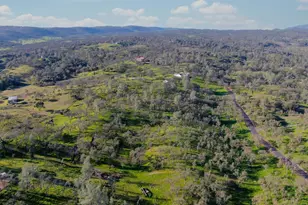 3653 Chuckwagon Dr, Copperopolis, CA 95228 - Photo 55