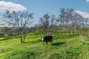 3653 Chuckwagon Dr, Copperopolis, CA 95228 - Photo 3