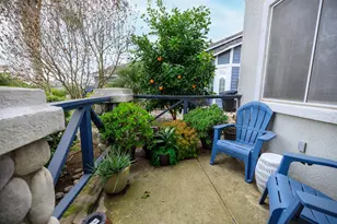 446 Meyenberg Ave, Ripon, CA 95366 - Photo 3