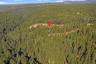 2160 Nelson Rd, Camino, CA 95709 - Photo 69