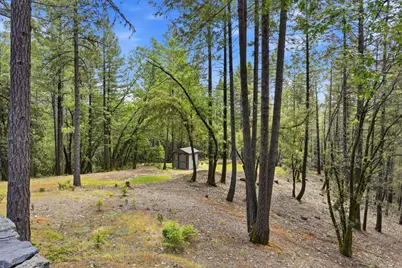 449 Plutes Way, Colfax, CA 95713 - Photo 41