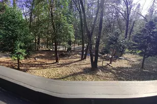 5772 Arrowhead Dr, Foresthill, CA 95631 - Photo 15