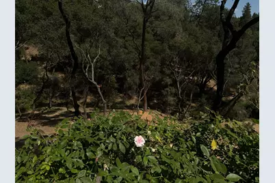 1461 Lodge View Drive, Meadow Vista, CA 95722 - Photo 57