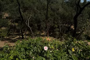 1461 Lodge View Dr, Meadow Vista, CA 95722 - Photo 57