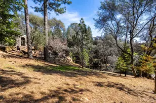 1461 Lodge View Dr, Meadow Vista, CA 95722 - Photo 59