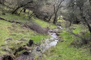 6340 Roller Coaster Rd, Garden Valley, CA 95633 - Photo 3