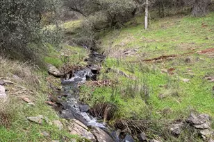 6340 Roller Coaster Rd, Garden Valley, CA 95633 - Photo 83