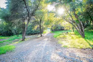 6340 Roller Coaster Rd, Garden Valley, CA 95633 - Photo 63