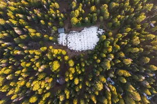 16277 Ophir Silver Rd, Nevada City, CA 95959 - Photo 51