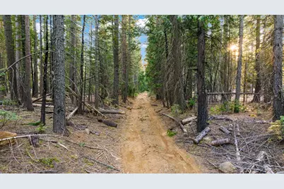 16277 Ophir Silver Road, Nevada City, CA 95959 - Photo 39