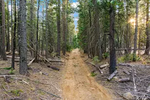 16277 Ophir Silver Rd, Nevada City, CA 95959 - Photo 39