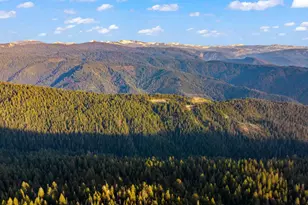 16277 Ophir Silver Rd, Nevada City, CA 95959 - Photo 43