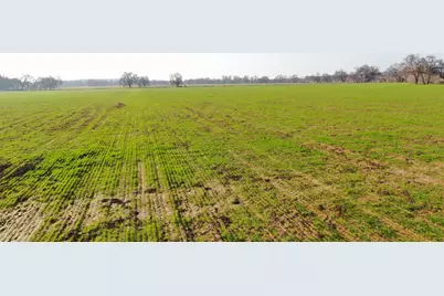 5050 Jackson Valley Road, Ione, CA 95640 - Photo 11