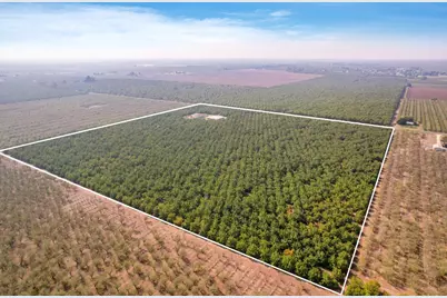 7306 Van Allen Road, Stockton, CA 95215 - Photo 9