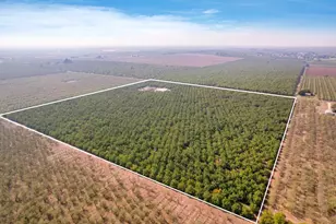 7306 Van Allen Rd, Stockton, CA 95215 - Photo 9