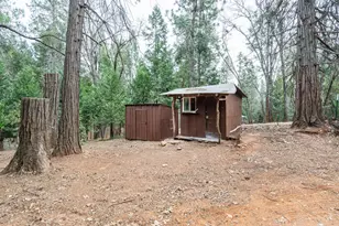 [Address not provided], Georgetown, CA 95634 - Photo 41