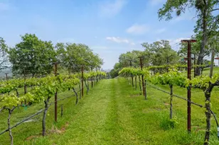 5070 Garden Bar Rd, Lincoln, CA 95648 - Photo 7