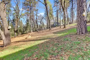 13727 Alpha Ct, Grass Valley, CA 95949 - Photo 59