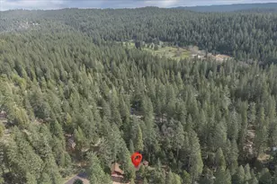 1413 Gertrude Way, Arnold, CA 95223 - Photo 45