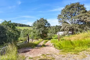 15477 Ballantree Ln, Grass Valley, CA 95949 - Photo 5