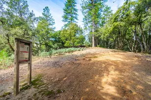 1384 Oak Ridge Dr, Colfax, CA 95713 - Photo 29