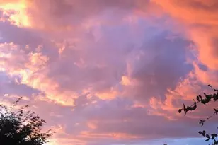 1420 Folsom Meadows Cir, Folsom, CA 95630 - Photo 61