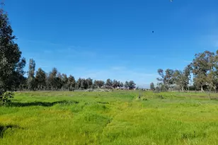 12234 Clay Station Rd, Herald, CA 95638 - Photo 37