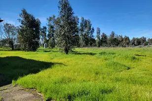 12234 Clay Station Rd, Herald, CA 95638 - Photo 39